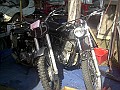 OldiesVet 010